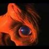 pcr106
